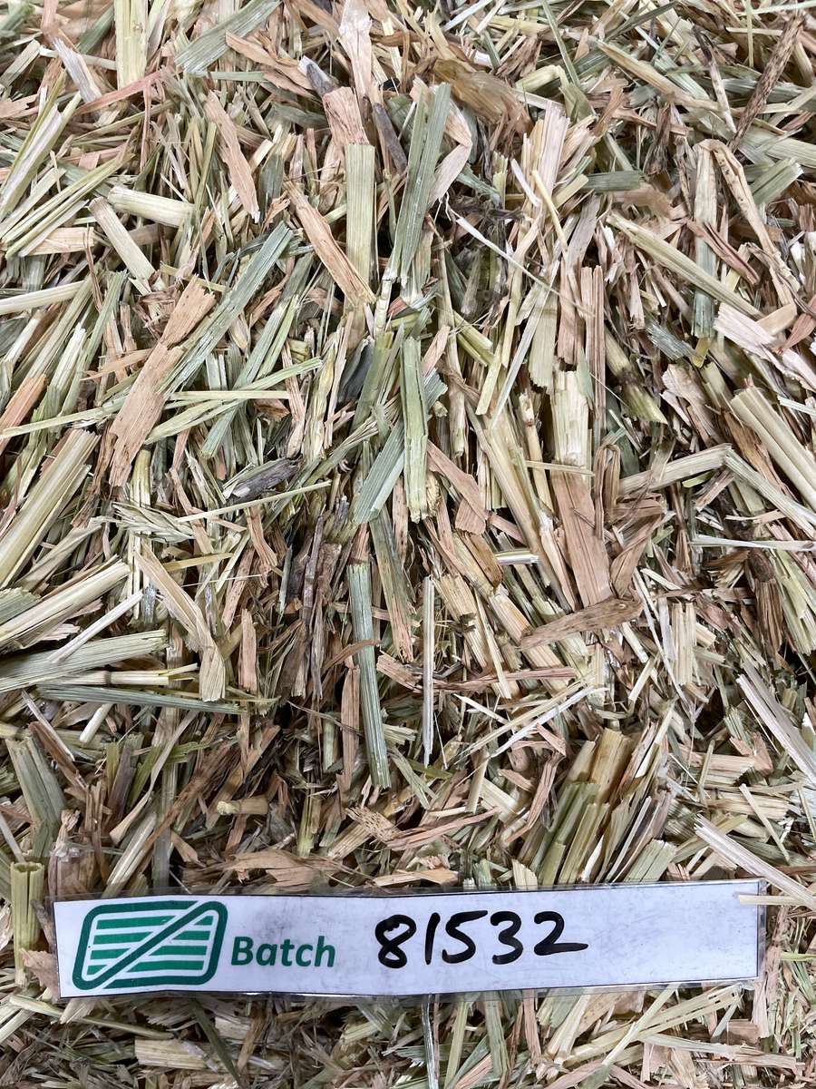 Batch 4990788000215479097 Image