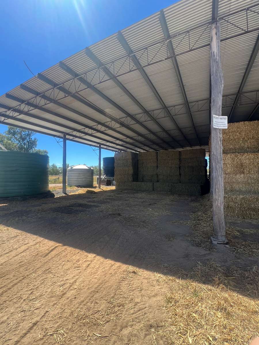 Batch 4990788000217541003 Image