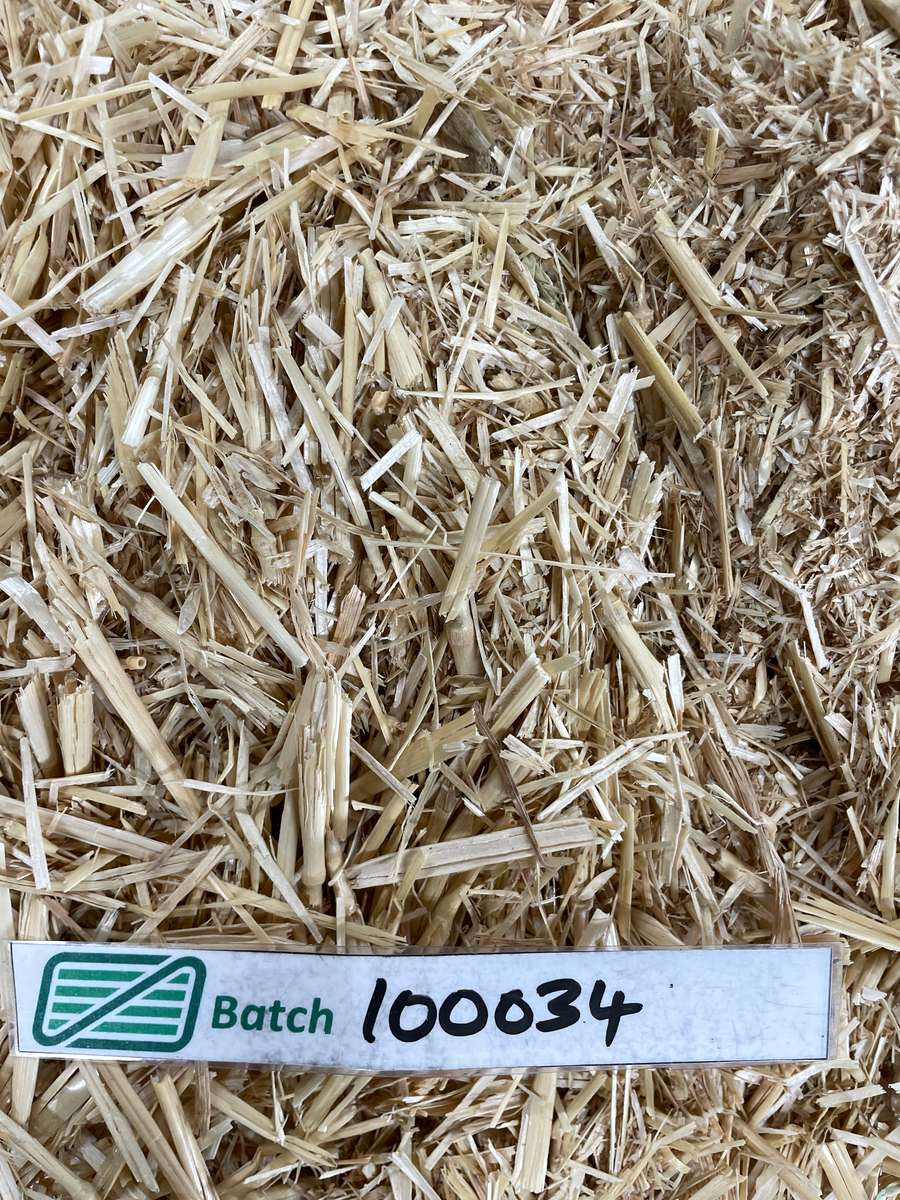 Batch 4990788000217869001 Image