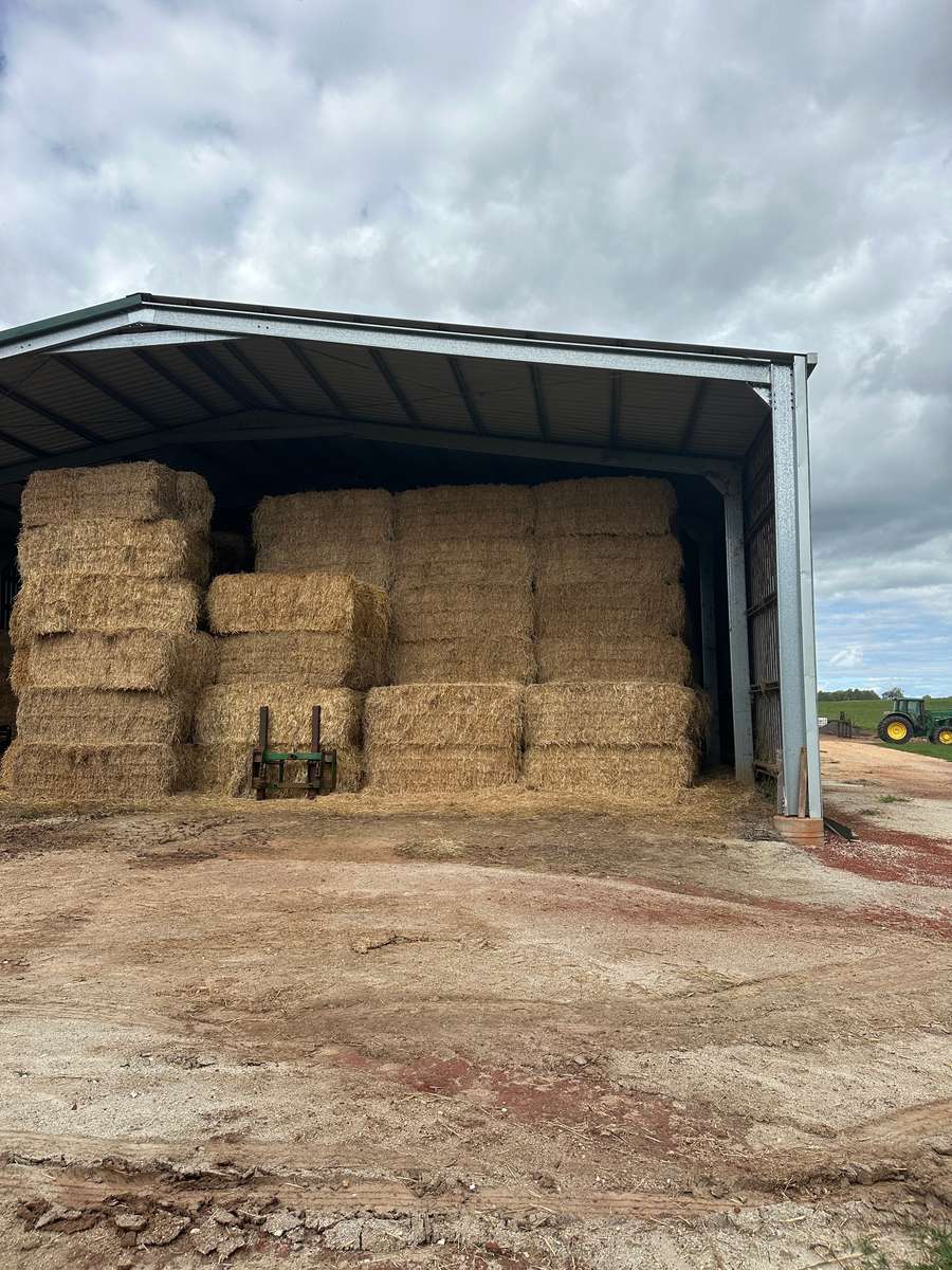 Batch 4990788000217633001 Image