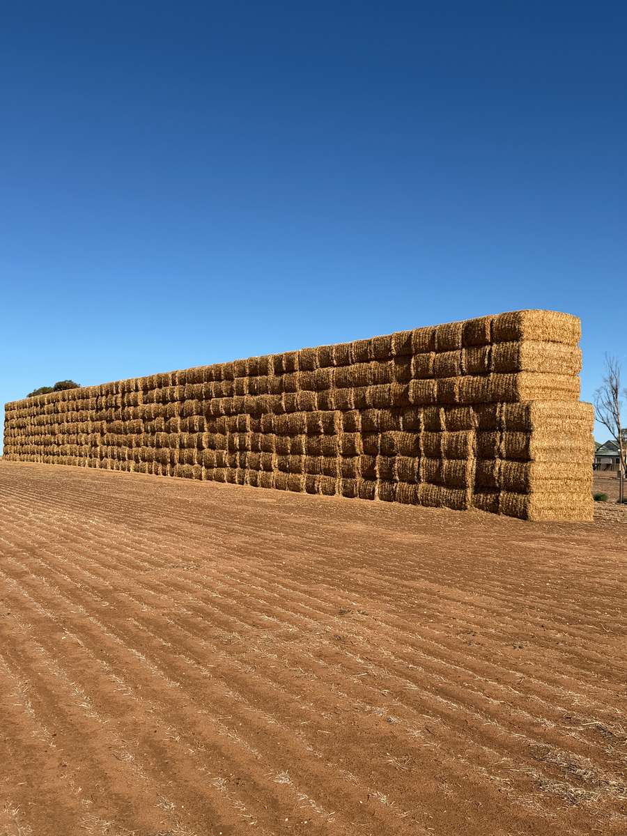 Batch 4990788000215398001 Image