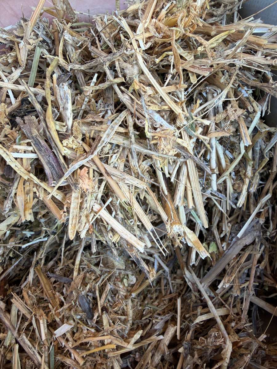 Batch 4990788000215057061 Image