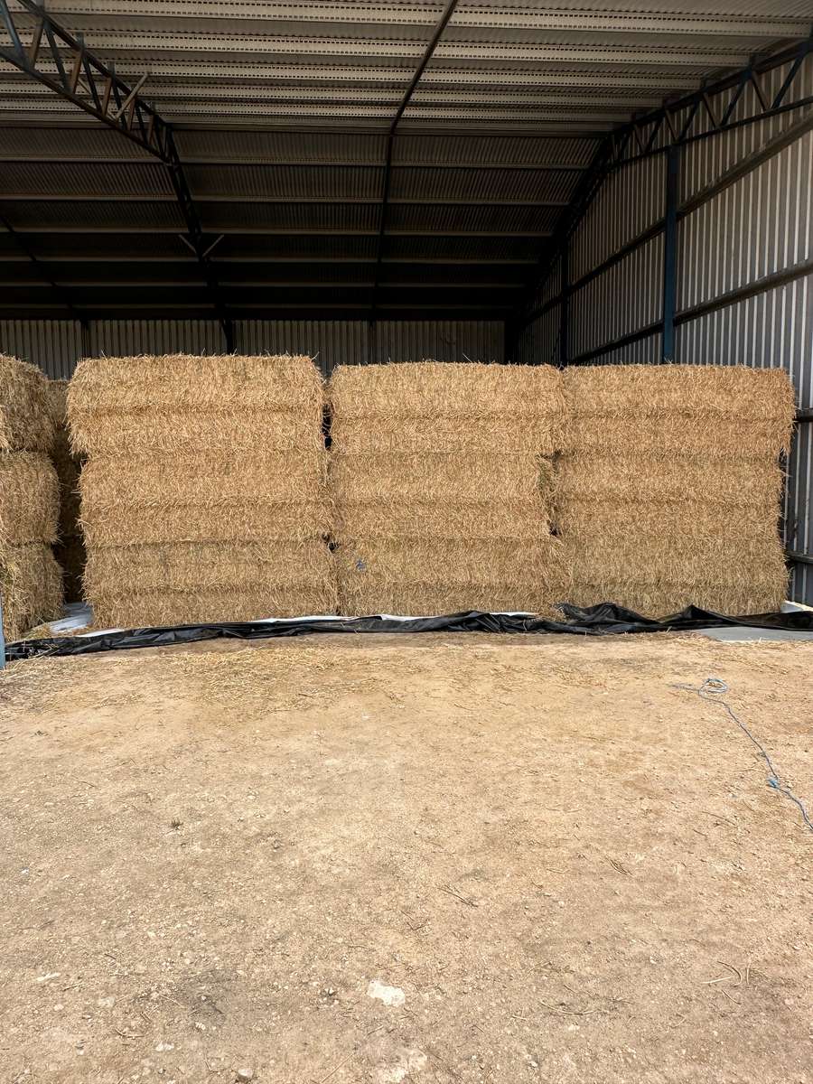 Batch 4990788000207367497 Image