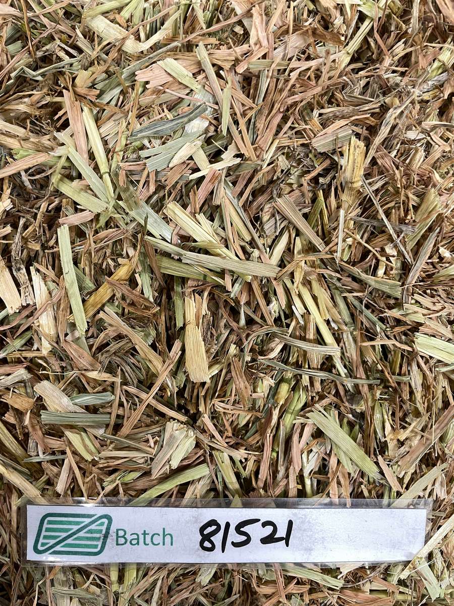 Batch 4990788000215418001 Image