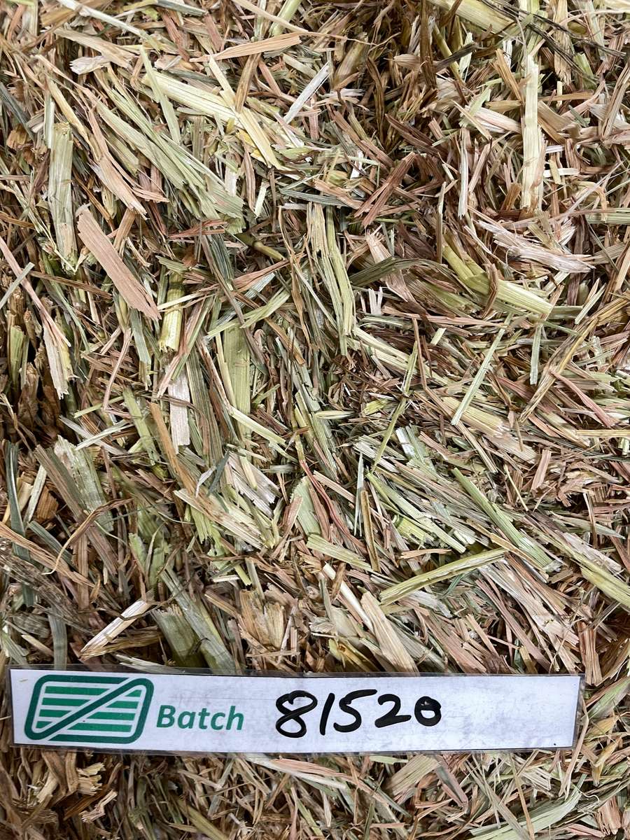 Batch 4990788000215398001 Image