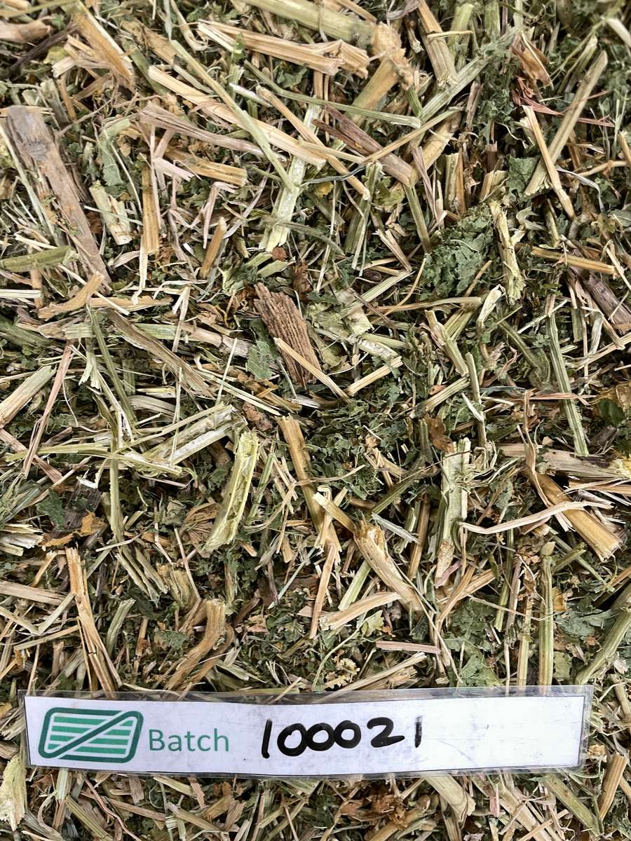 Batch 4990788000217541003 Image