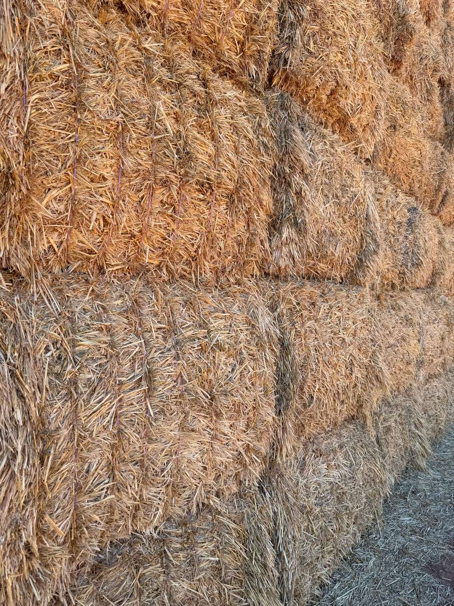 Batch 4990788000215398001 Image