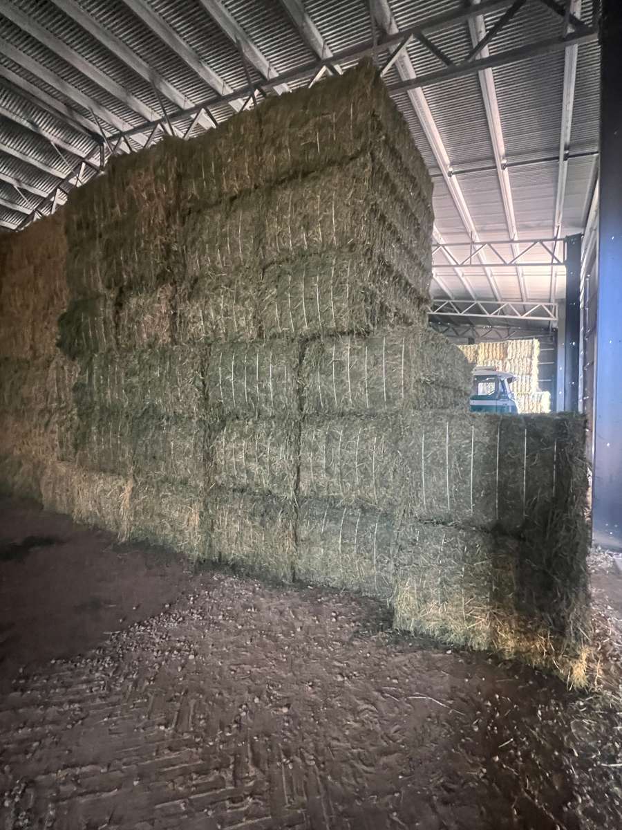 Batch 4990788000213186003 Image