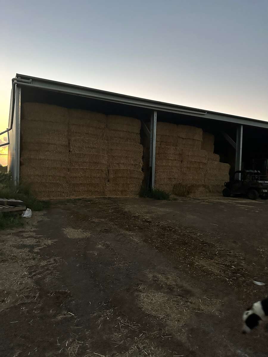 Batch 4990788000216889001 Image