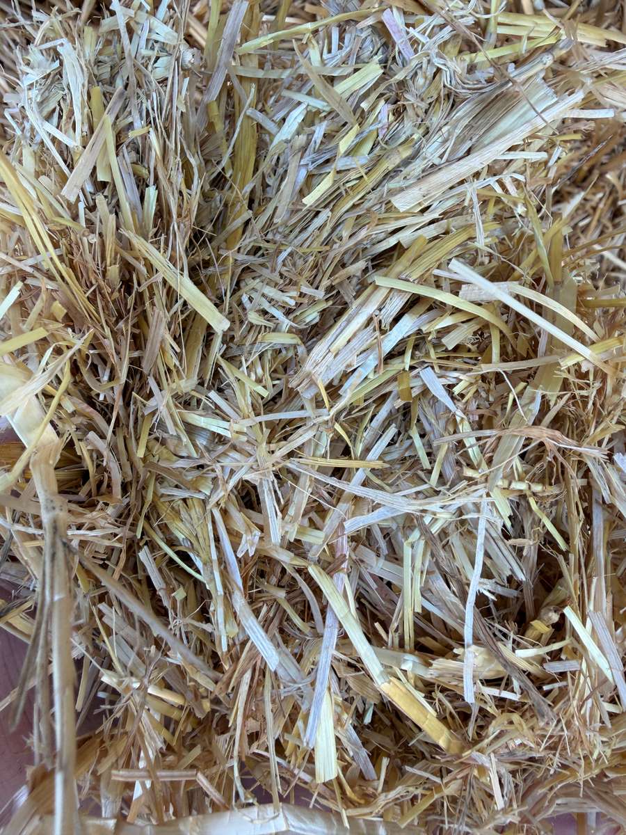 Batch 4990788000218067001 Image