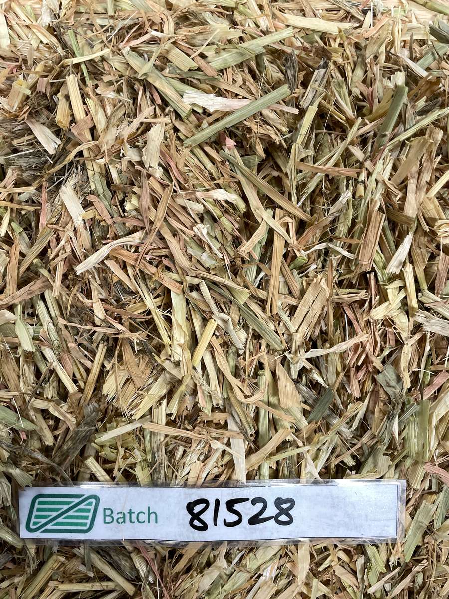 Batch 4990788000215491001 Image