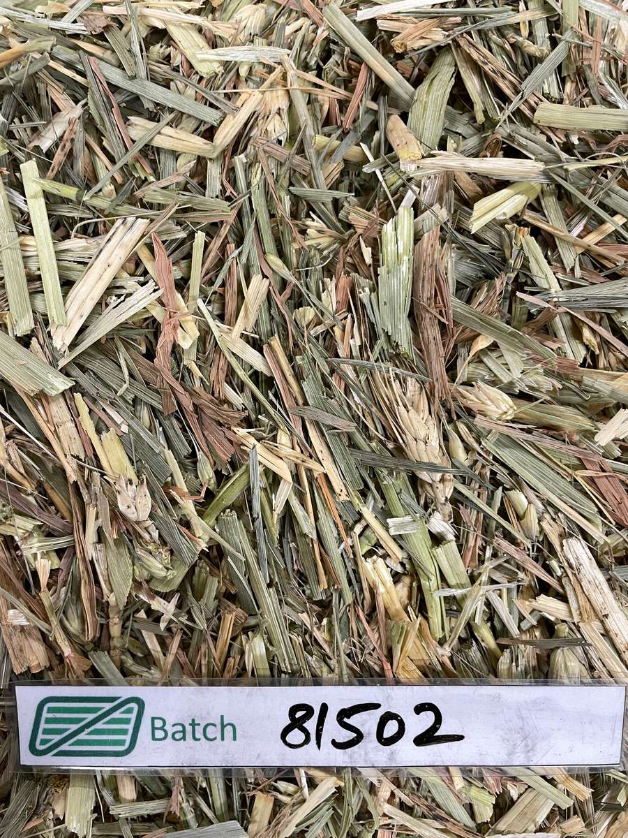 Batch 4990788000215143001 Image