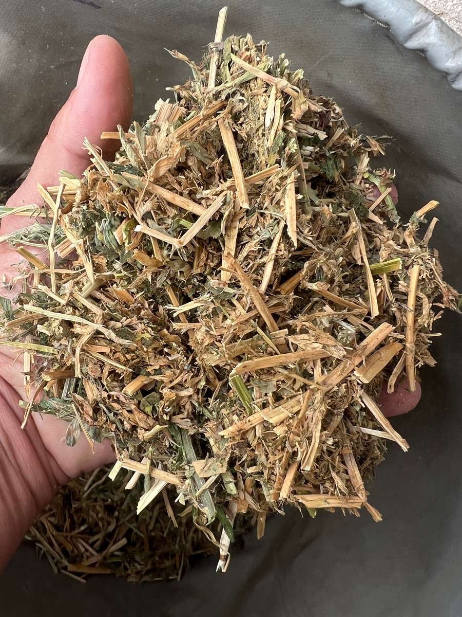 Batch 4990788000207369485 Image