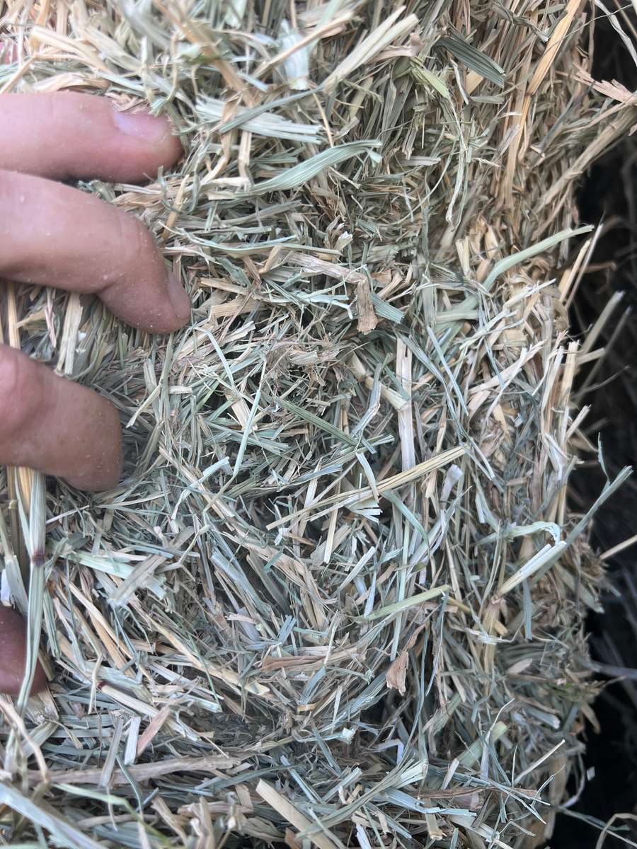 Batch 4990788000215473004 Image