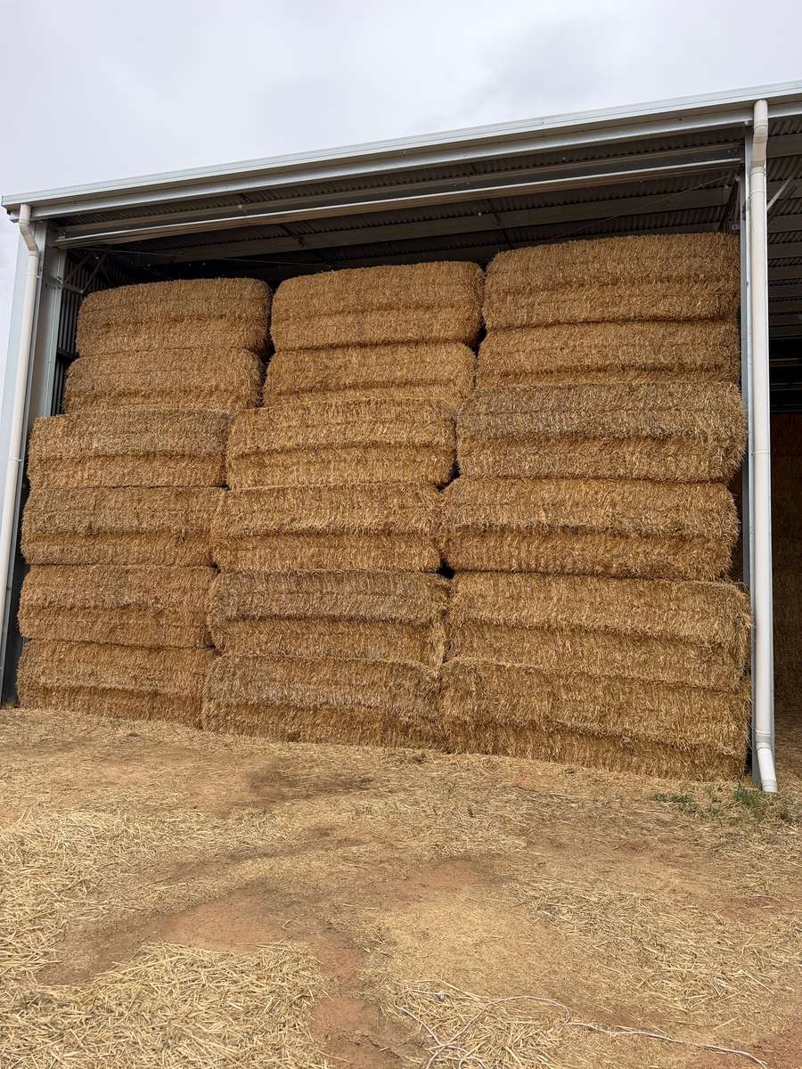 Batch 4990788000217774001 Image