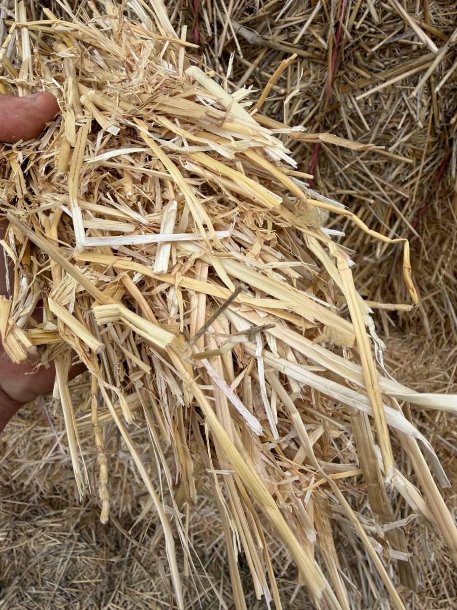 Batch 4990788000217732039 Image