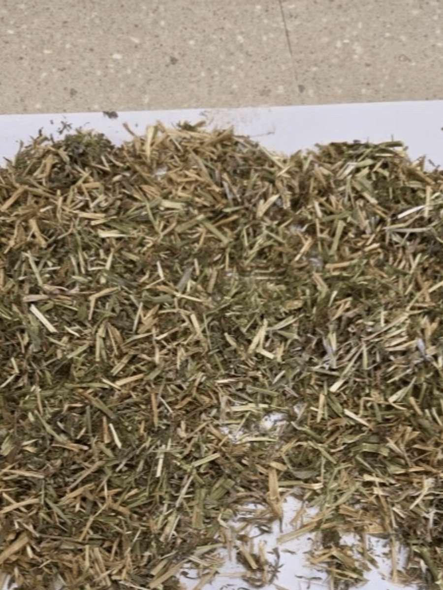 Batch 4990788000213464001 Image