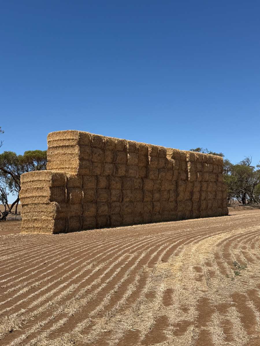 Batch 4990788000215491001 Image