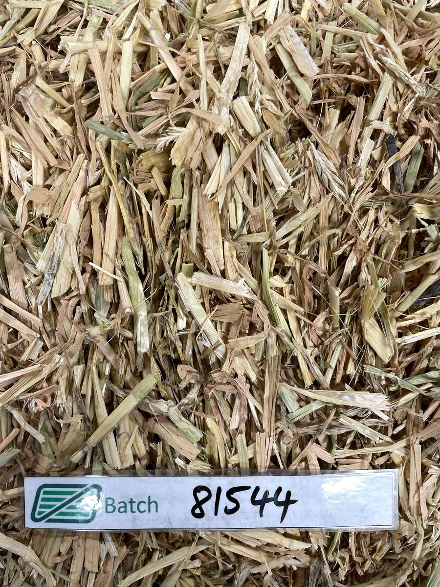 Batch 4990788000215675059 Image