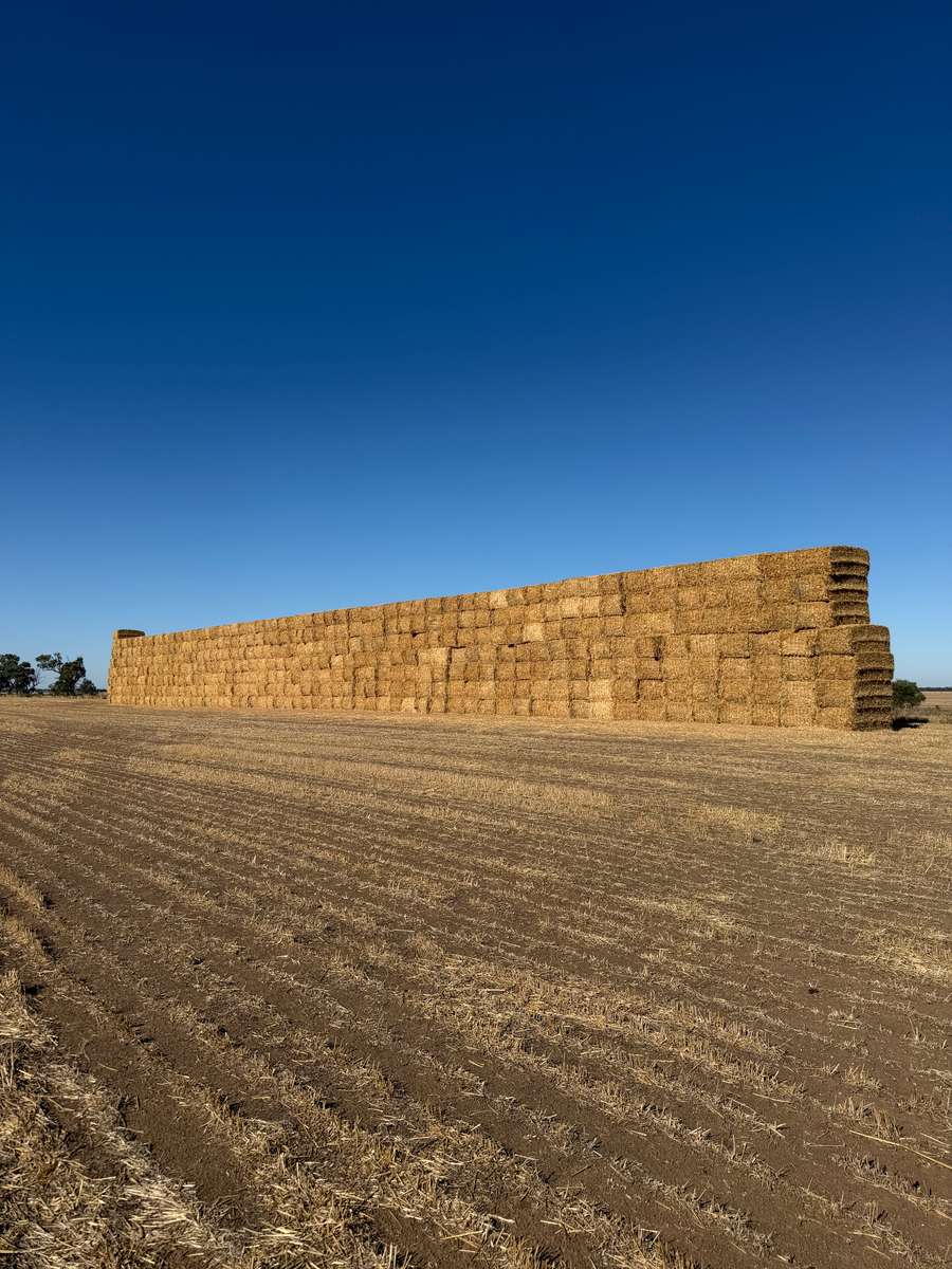 Batch 4990788000215616033 Image