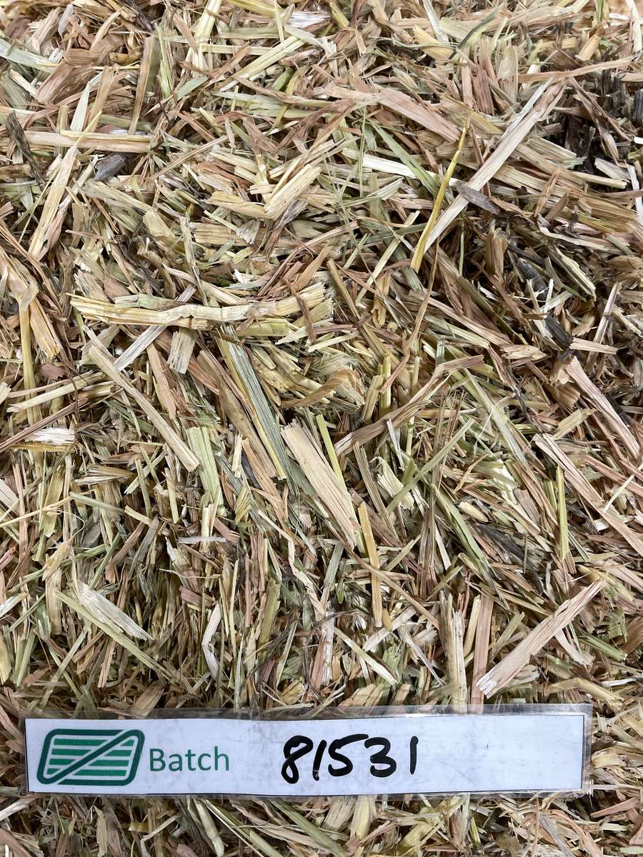 Batch 4990788000215398065 Image