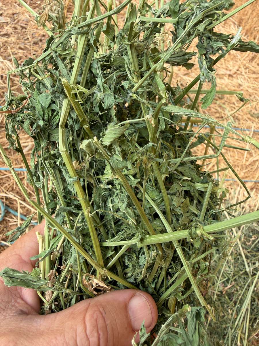 Batch 4990788000217698007 Image