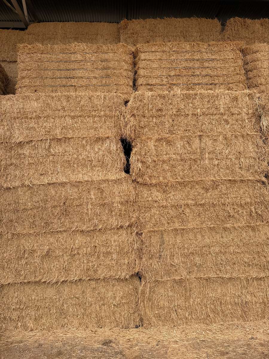 Batch 4990788000217698007 Image