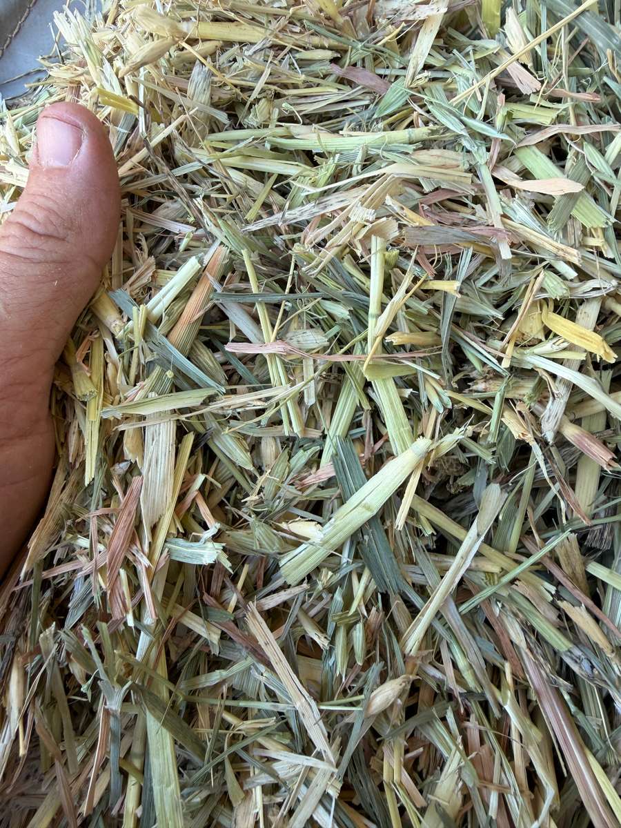 Batch 4990788000215262001 Image