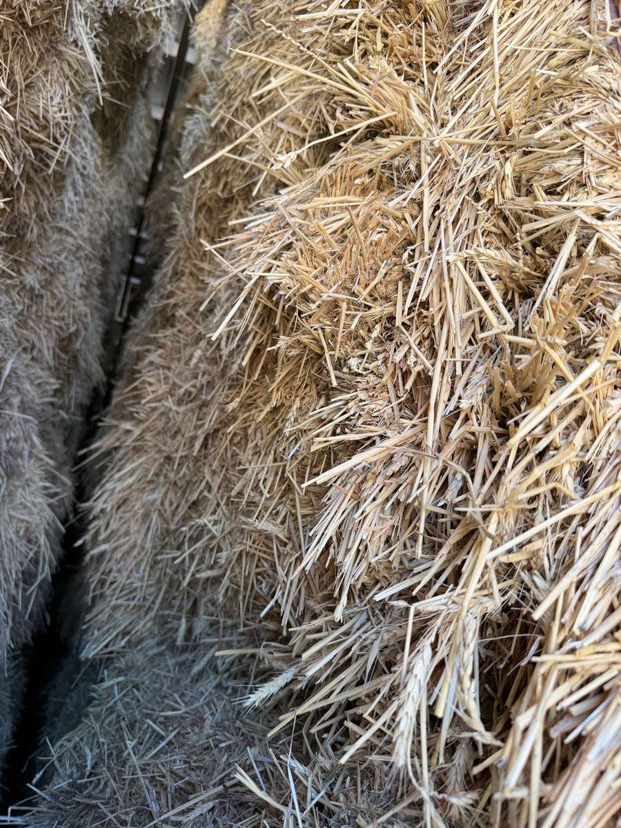 Batch 4990788000215675001 Image