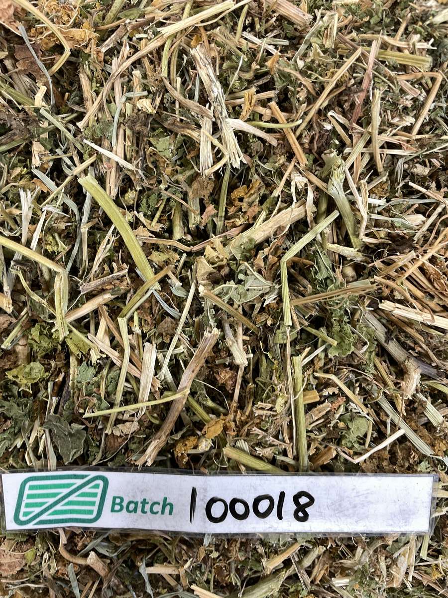 Batch 4990788000216902001 Image