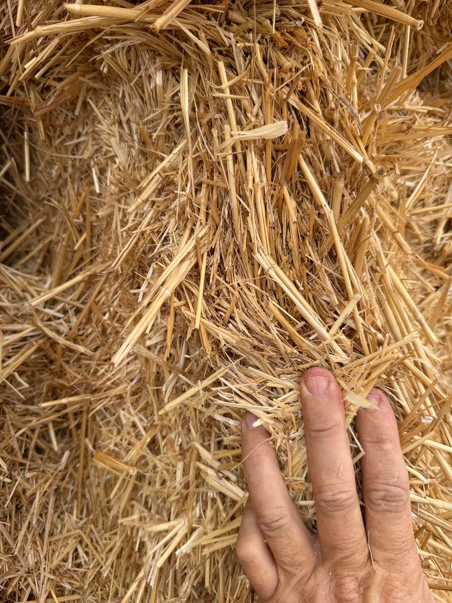 Batch 4990788000217699023 Image