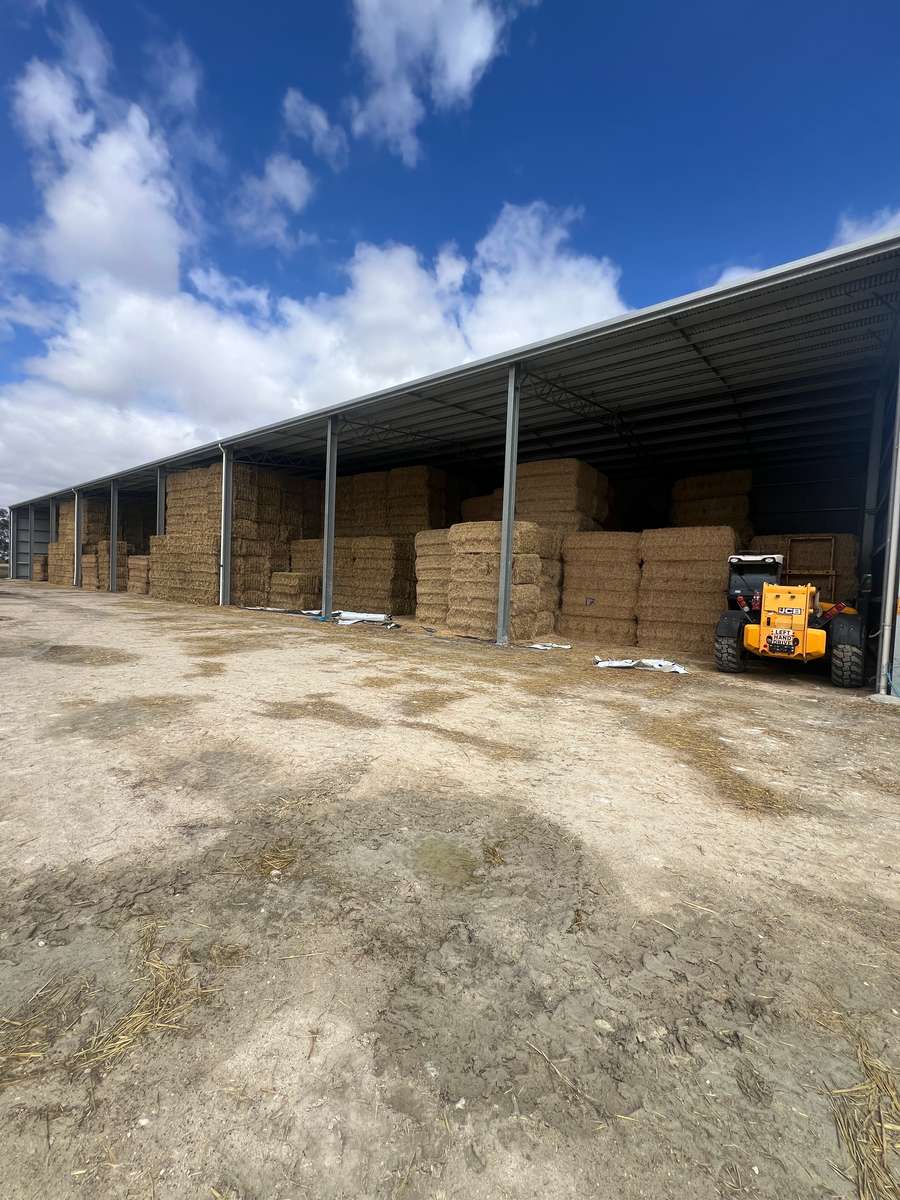 Batch 4990788000207369485 Image