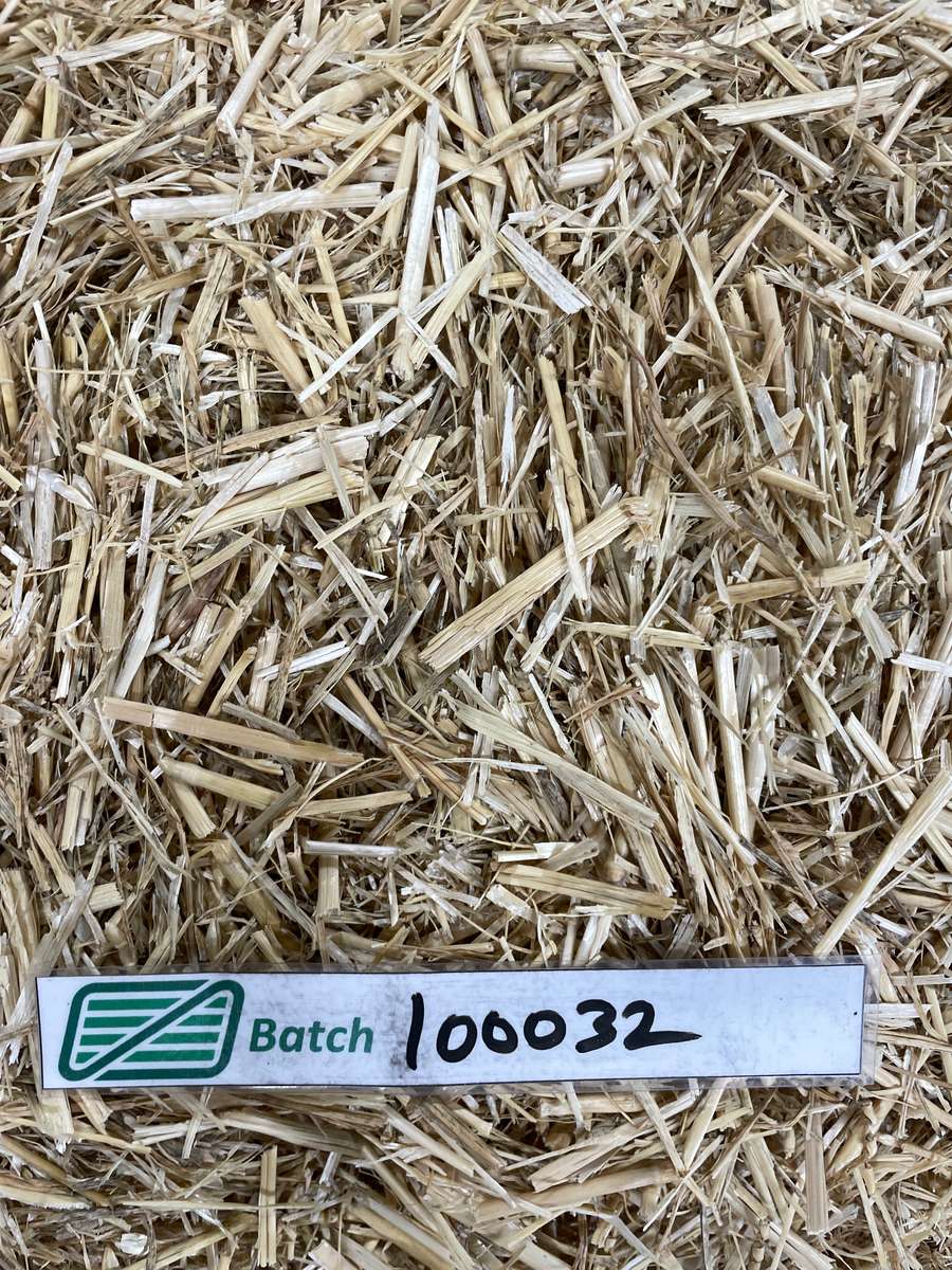 Batch 4990788000217779001 Image