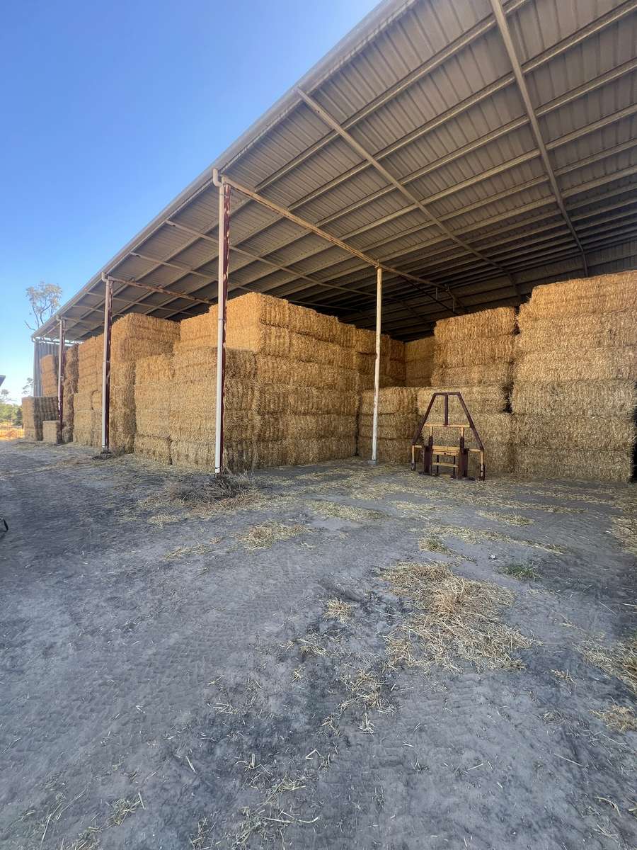 Batch 4990788000213204016 Image