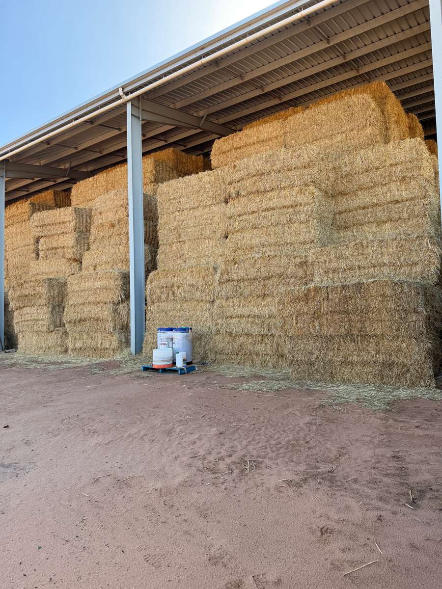 Batch 4990788000215270001 Image