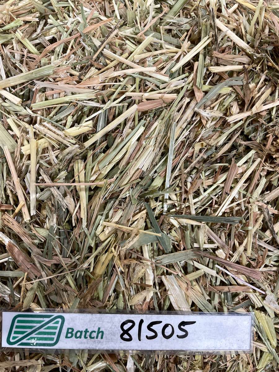 Batch 4990788000215140017 Image