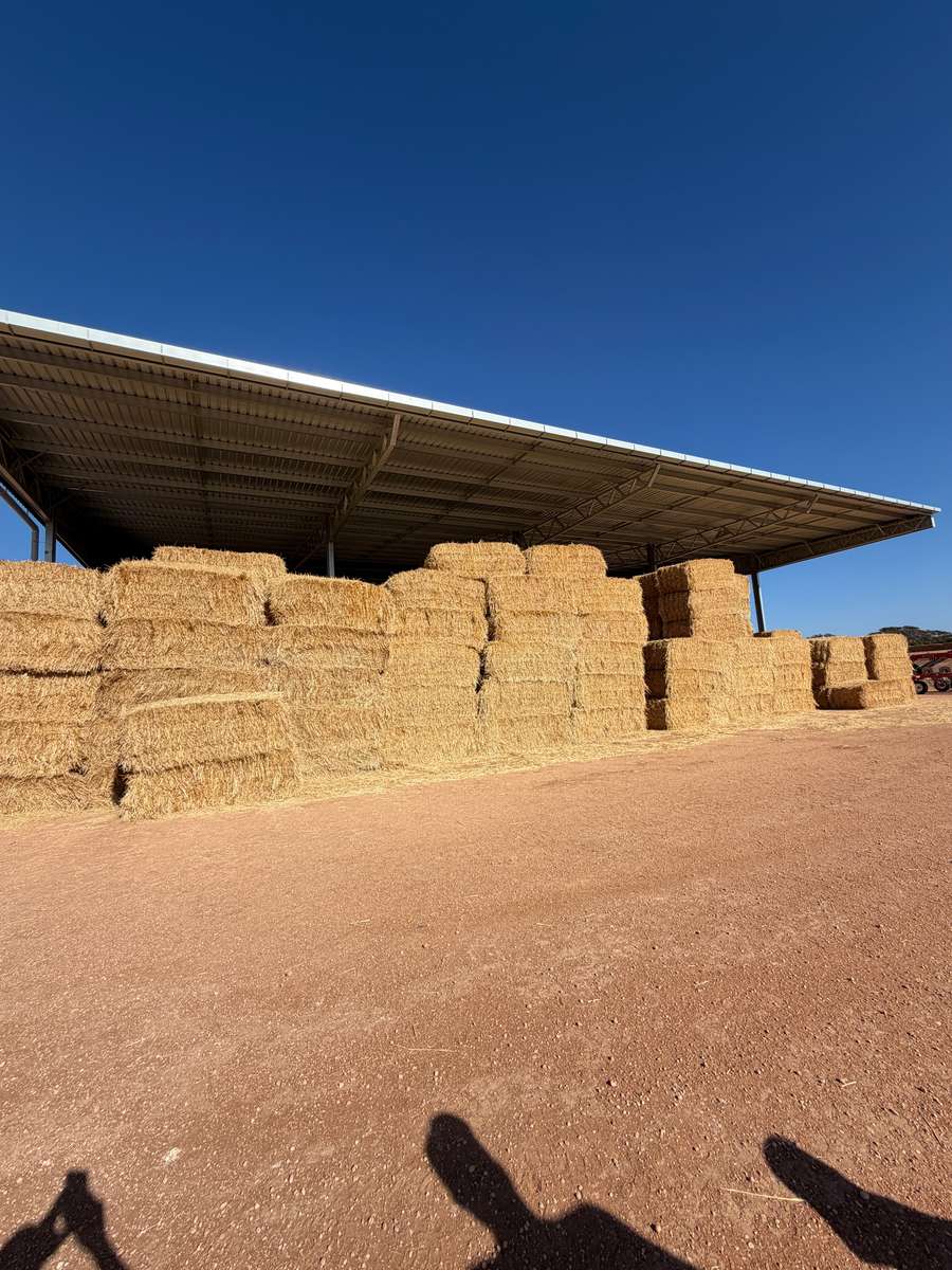 Batch 4990788000215068033 Image