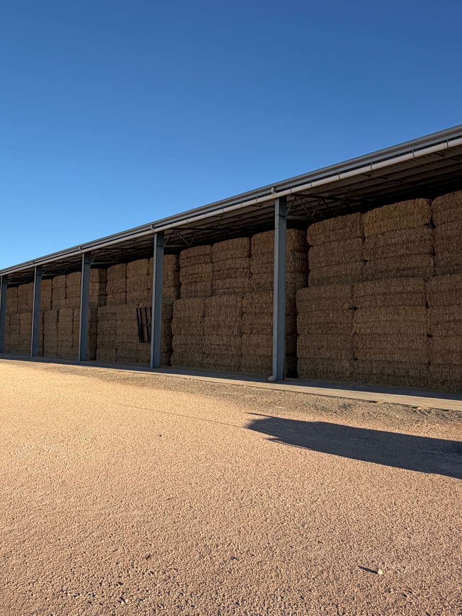 Batch 4990788000215643001 Image