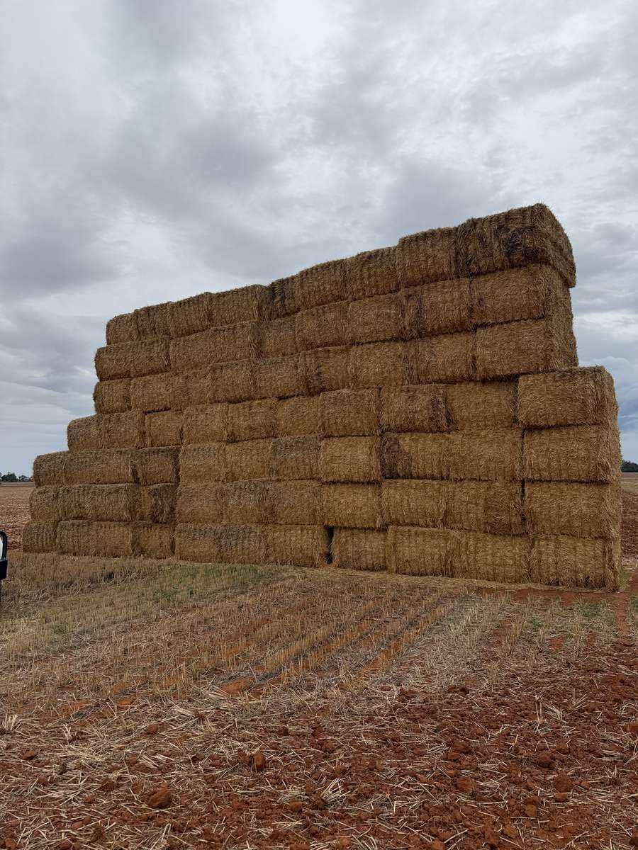 Batch 4990788000217699023 Image