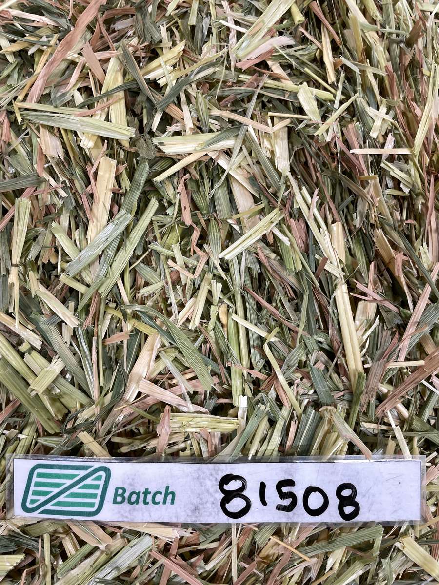 Batch 4990788000215138036 Image