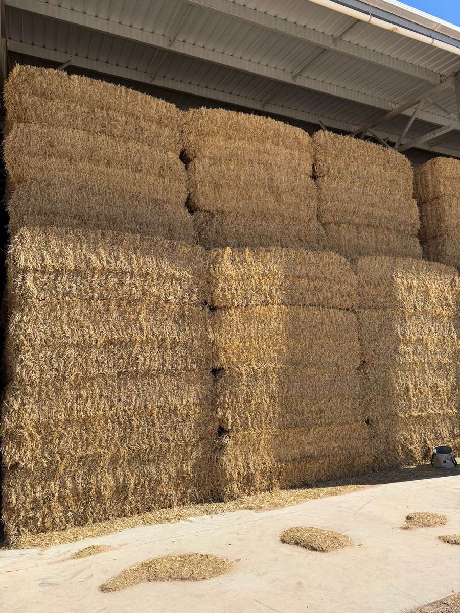 Batch 4990788000215681001 Image