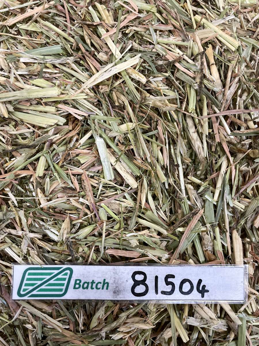 Batch 4990788000215143065 Image