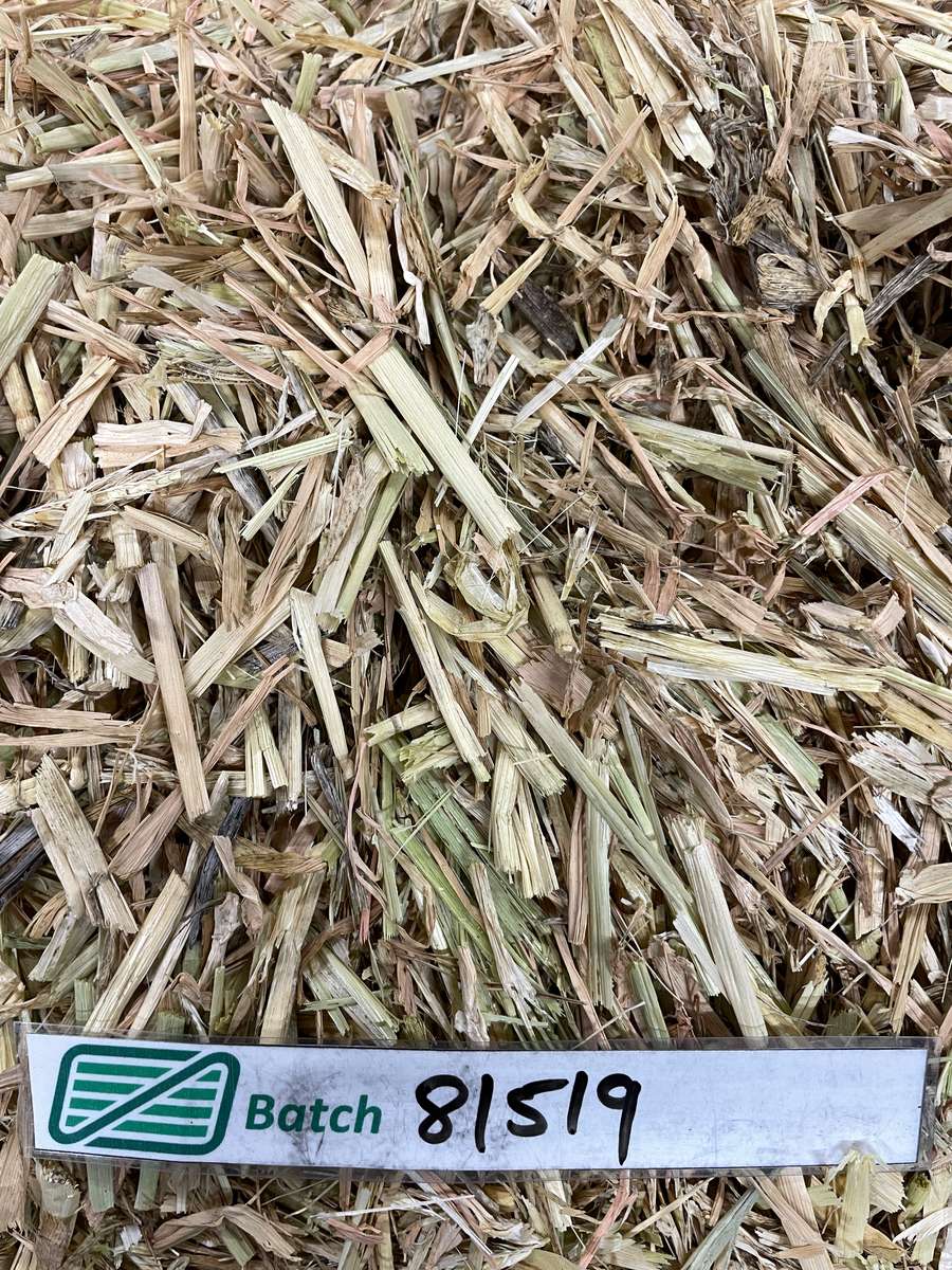 Batch 4990788000215347001 Image