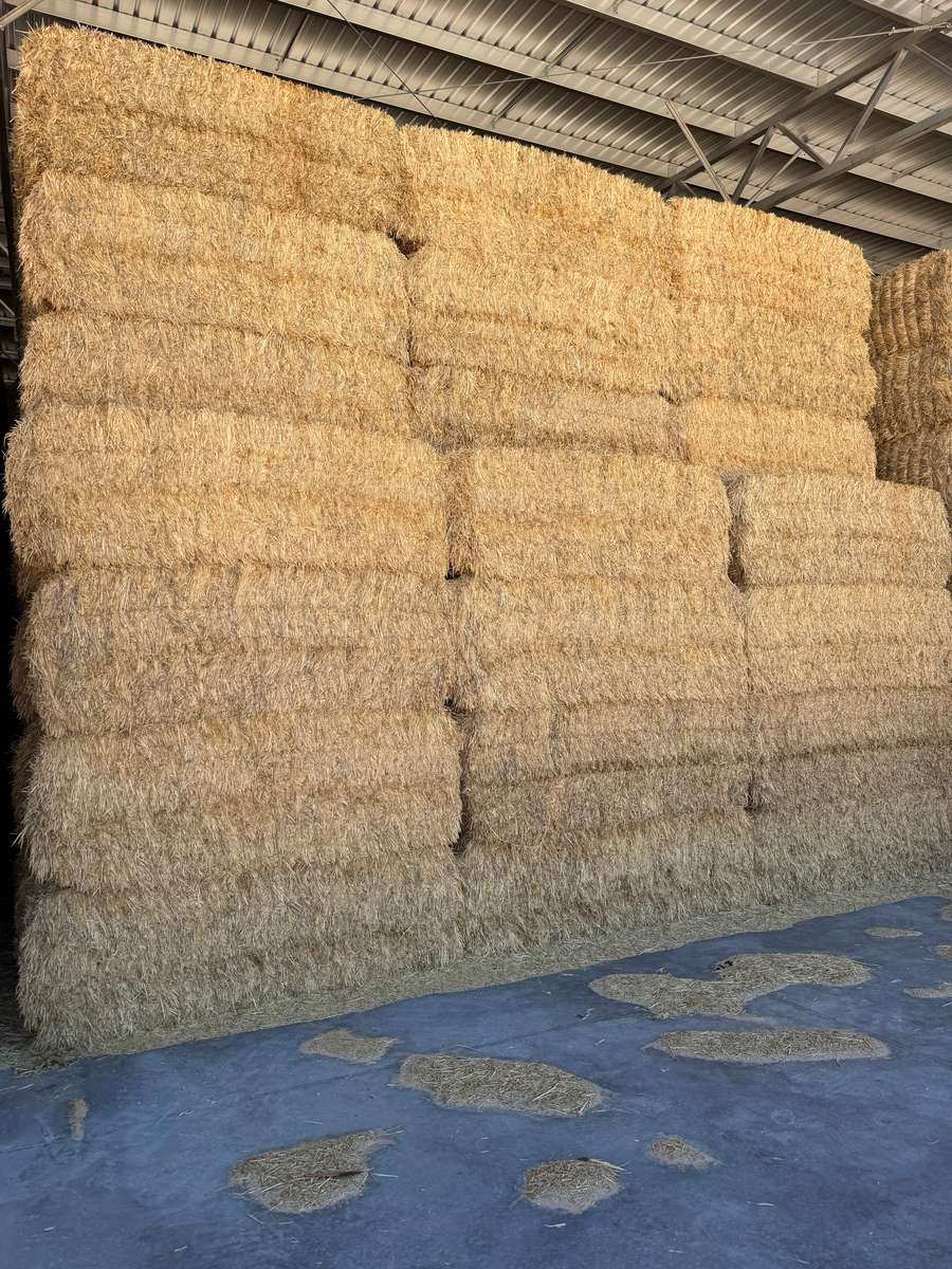 Batch 4990788000215479097 Image