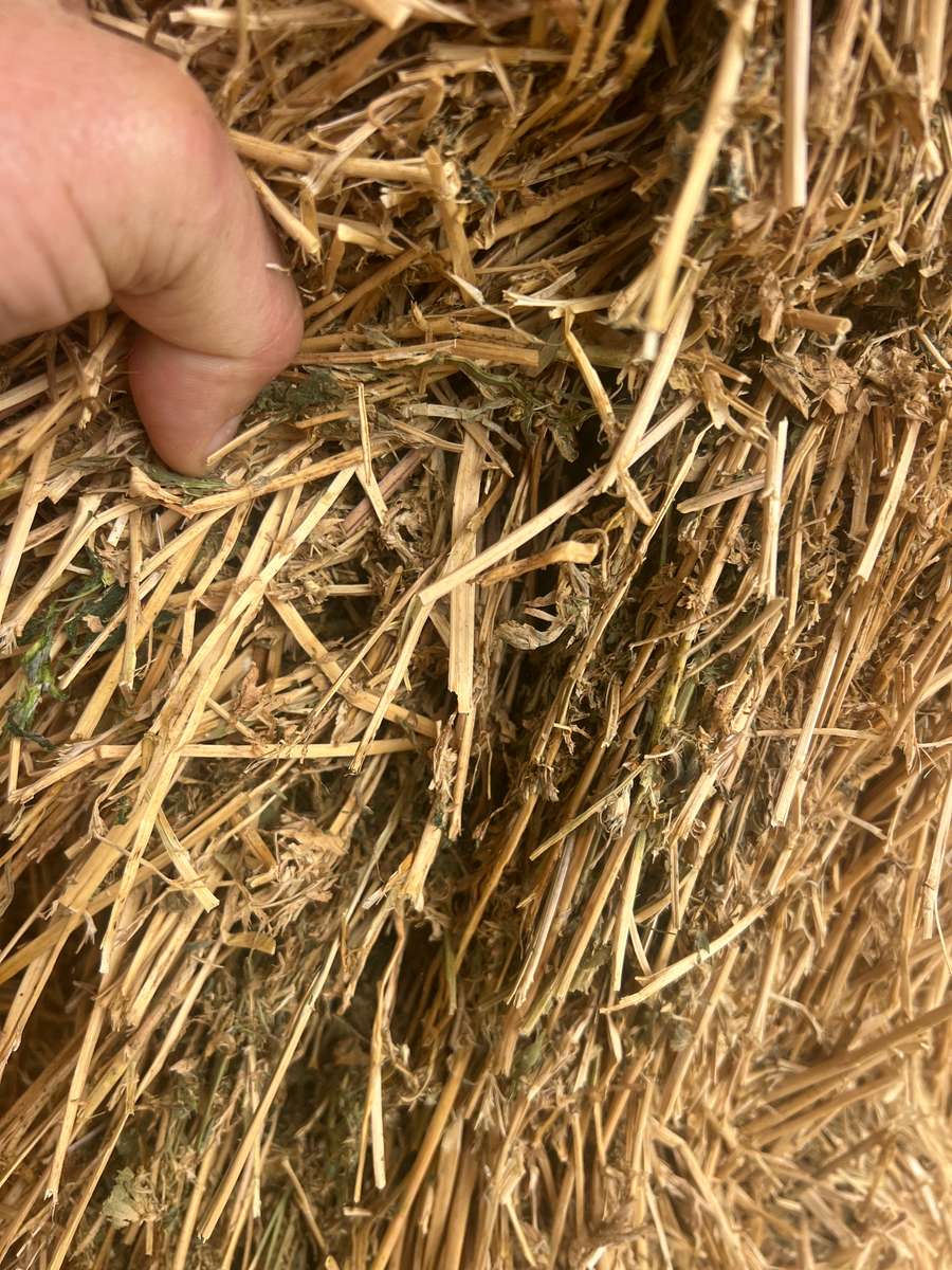 Batch 4990788000207369485 Image