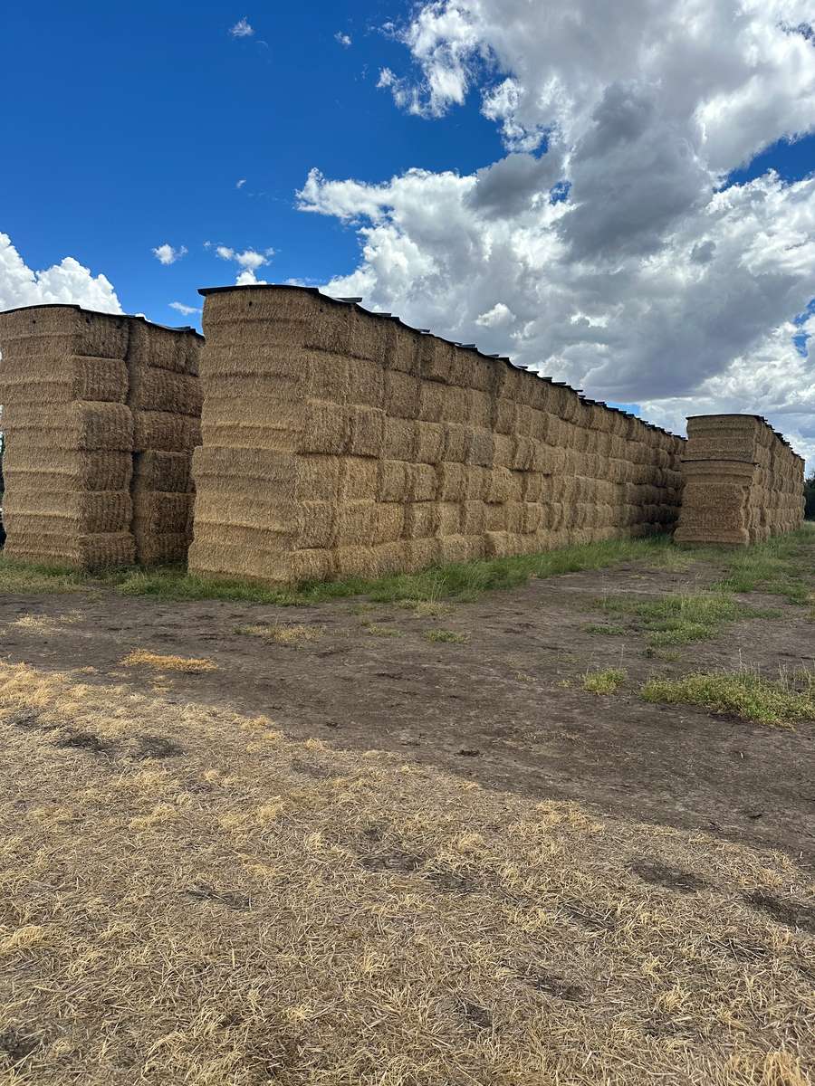 Batch 4990788000212140047 Image