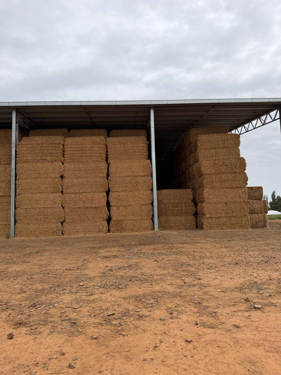 Batch 4990788000217732001 Image