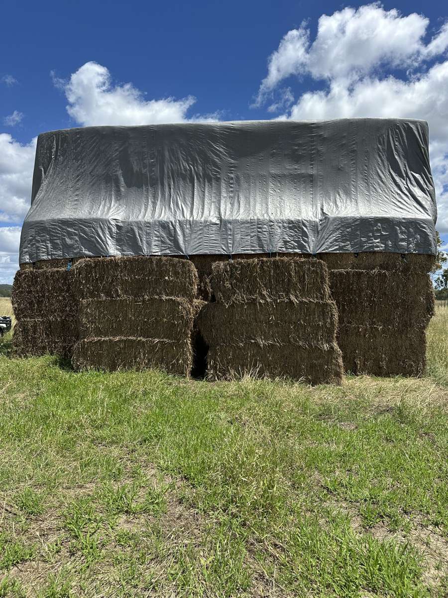 Batch 4990788000216902001 Image