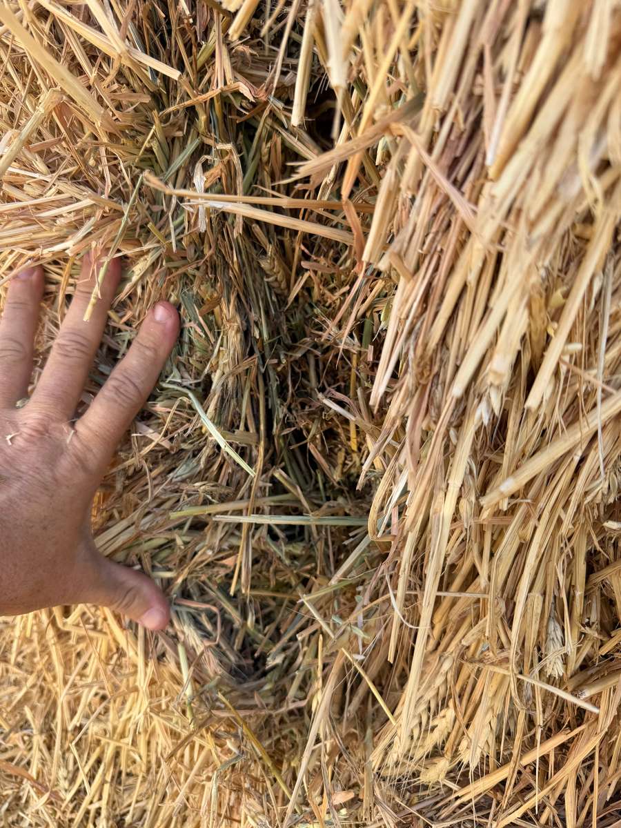 Batch 4990788000215283001 Image