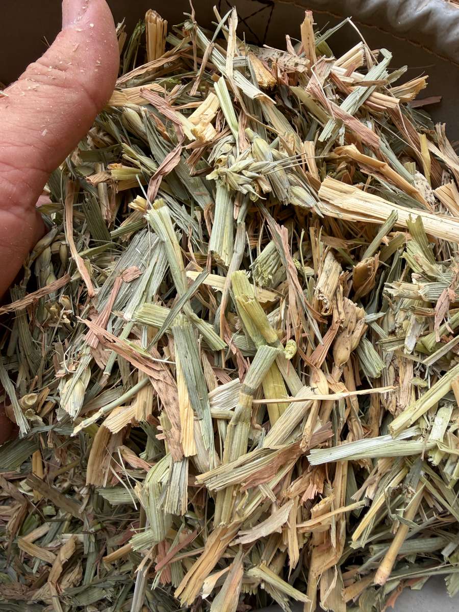 Batch 4990788000215143001 Image